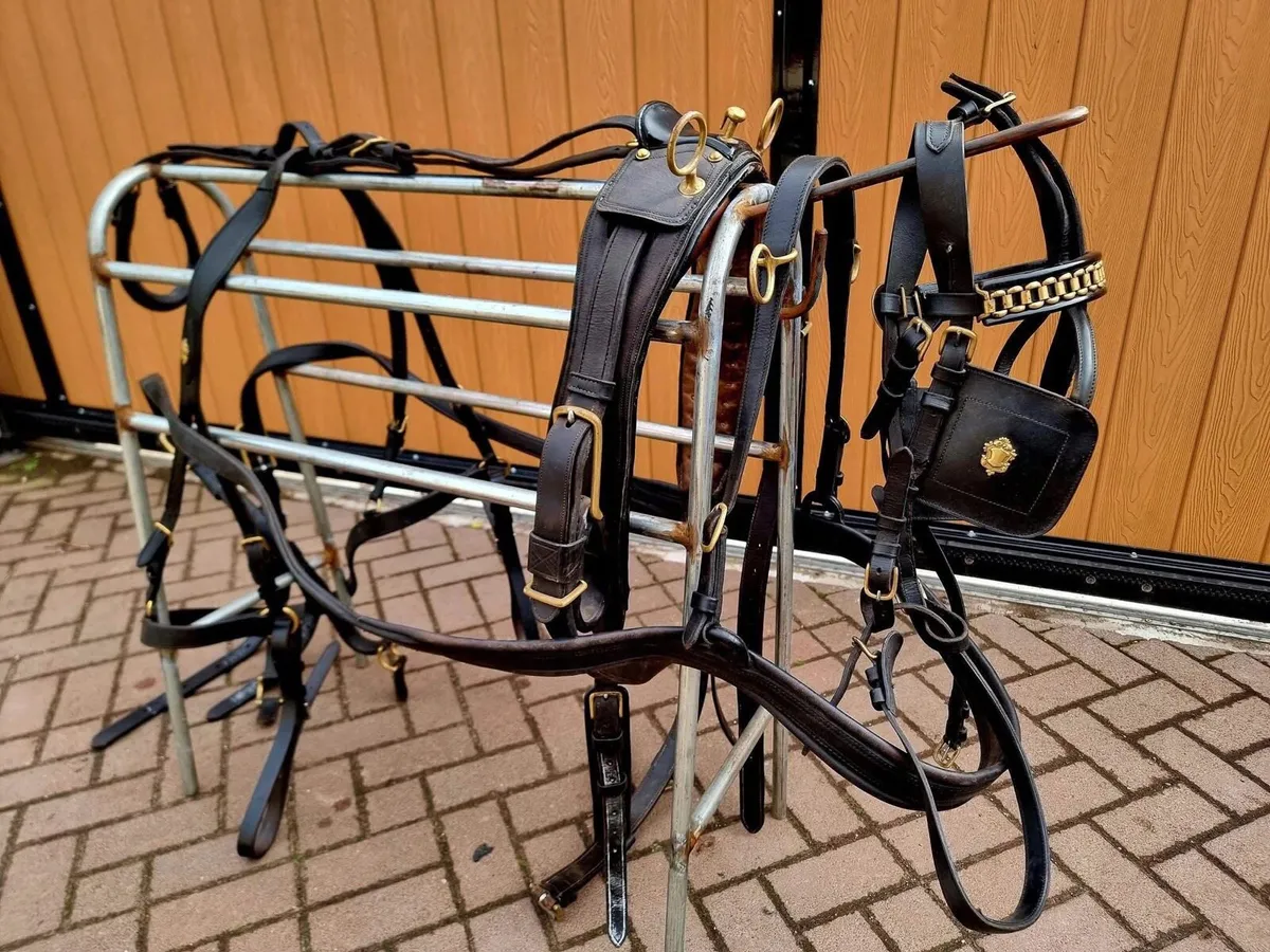 Gig & Harness - Image 2