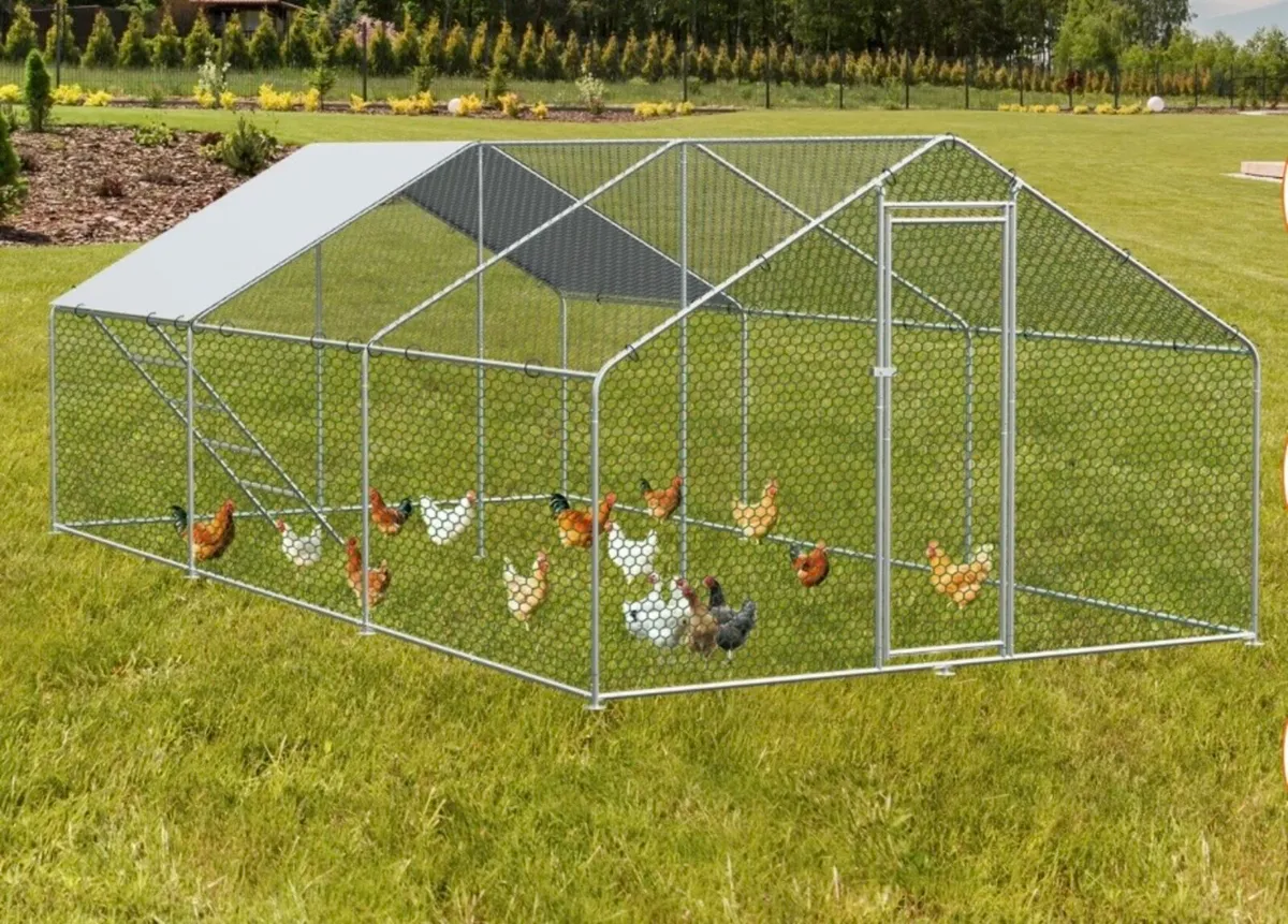 Chicken coop dog run - Image 3