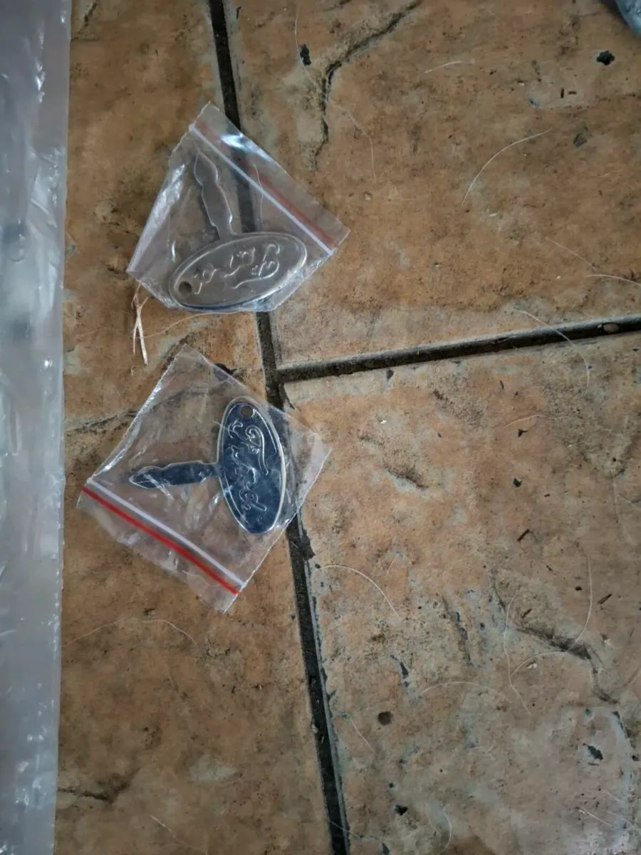 Ford Grills - Image 3