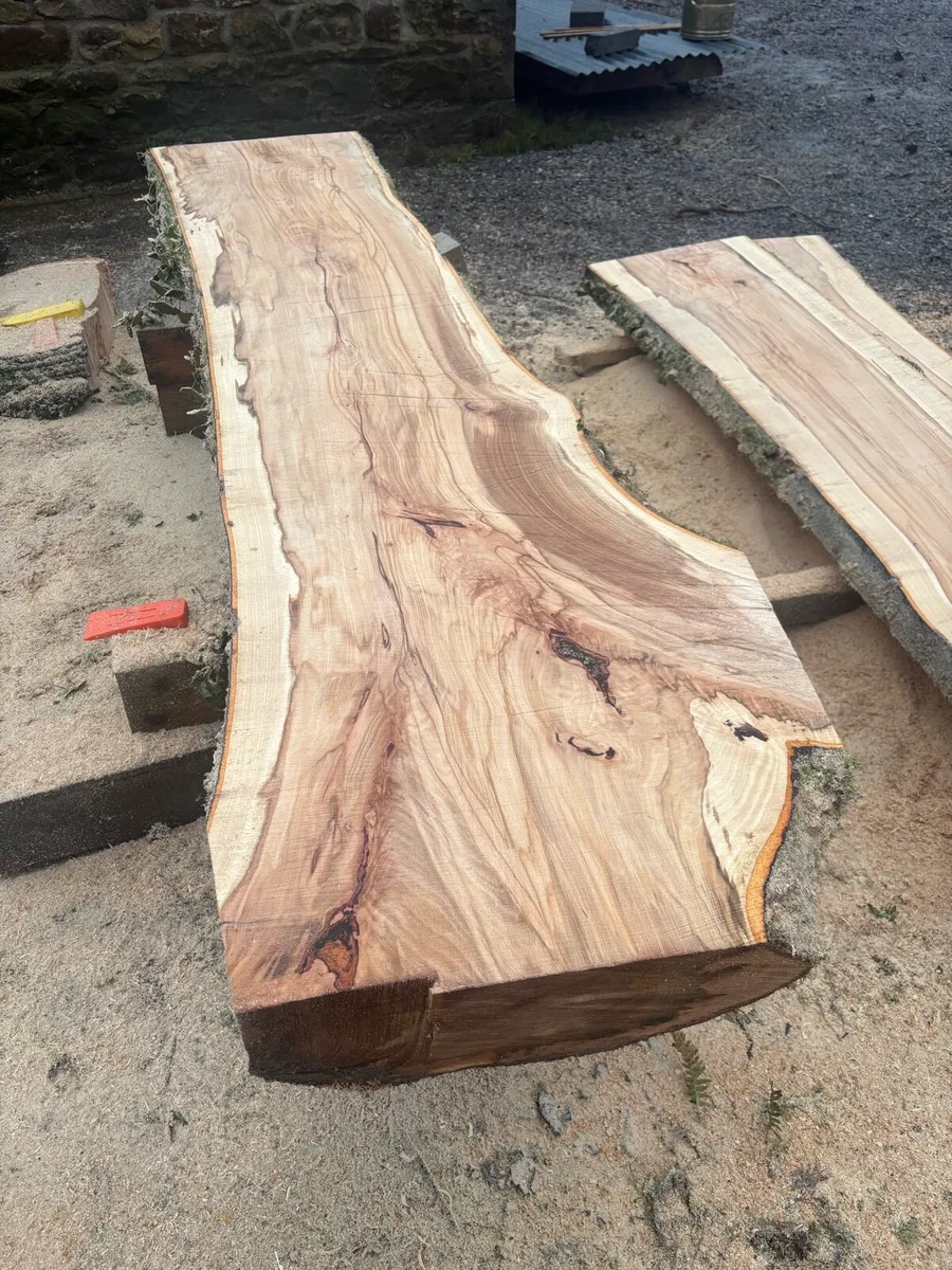Timber slabs - Image 4