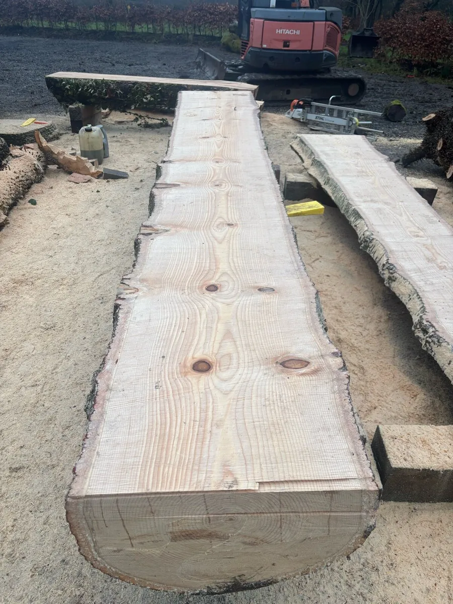 Timber slabs - Image 4