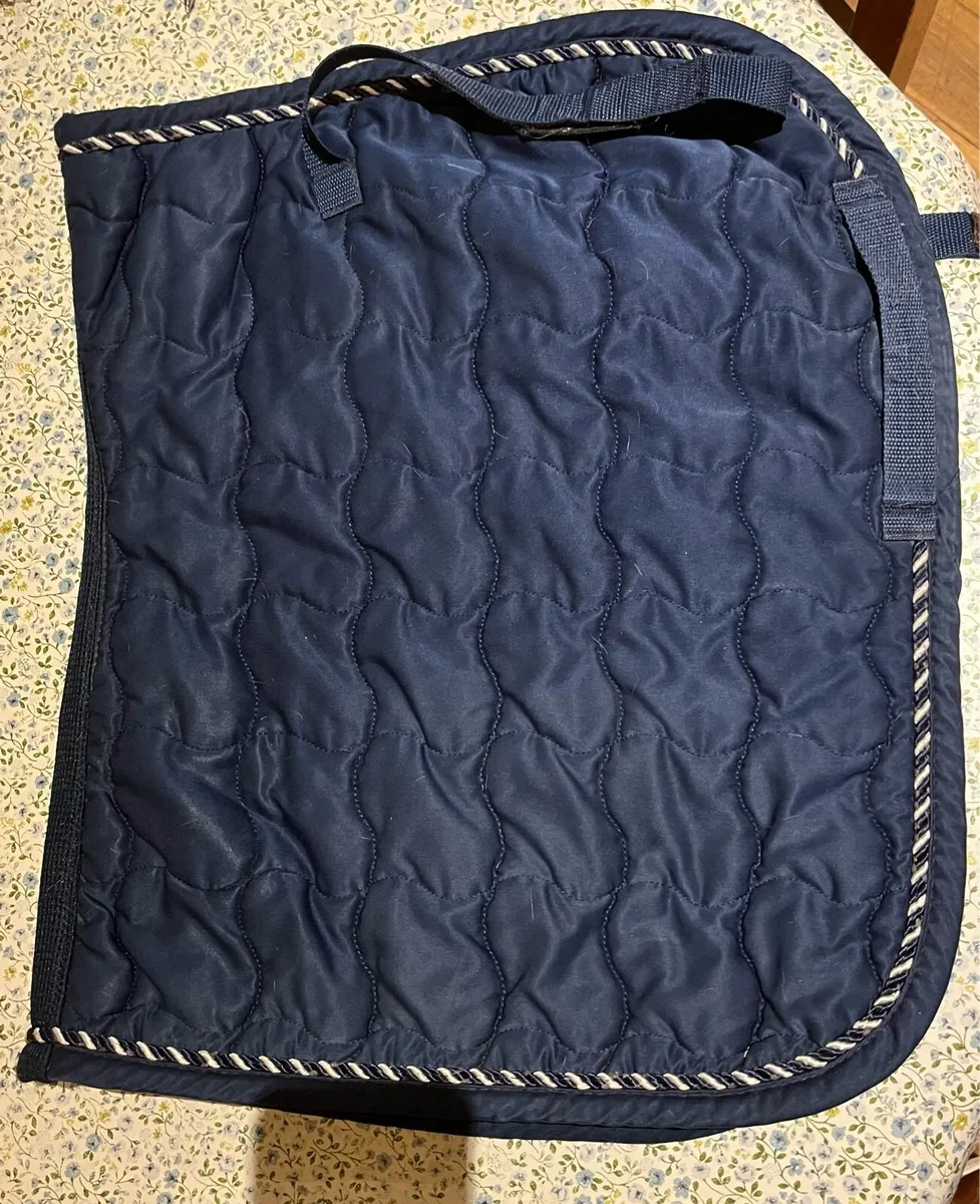 Horse tack - Image 1