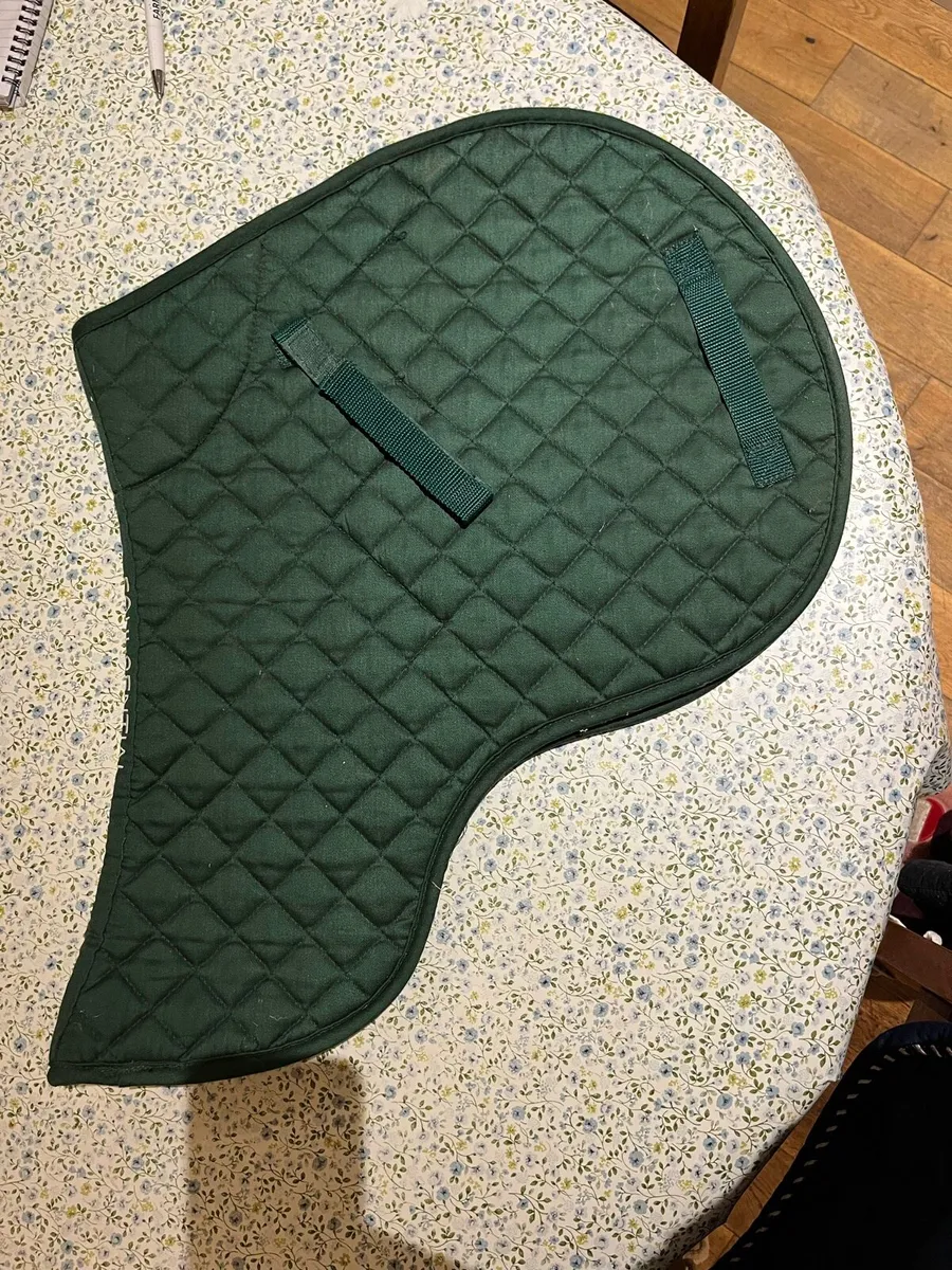 Horse tack - Image 2