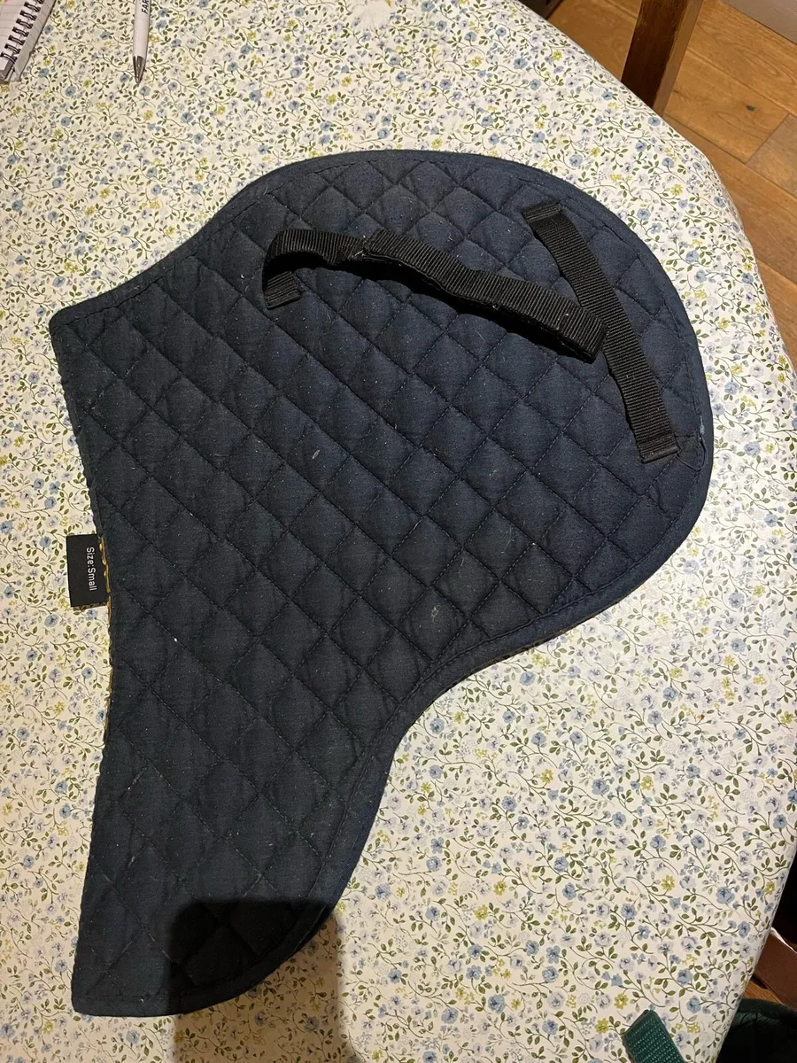 Horse tack - Image 3