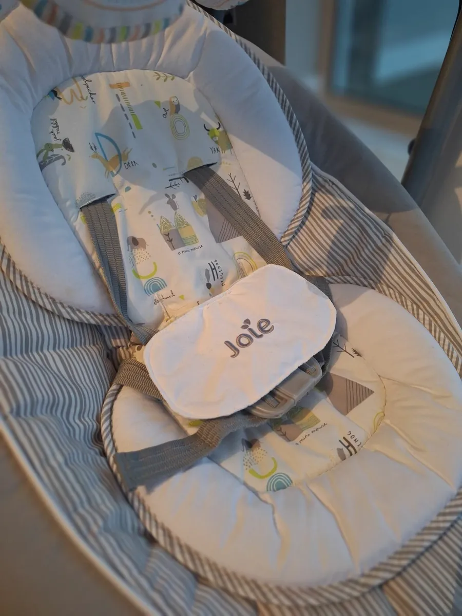 Joie Swing seat - Image 2