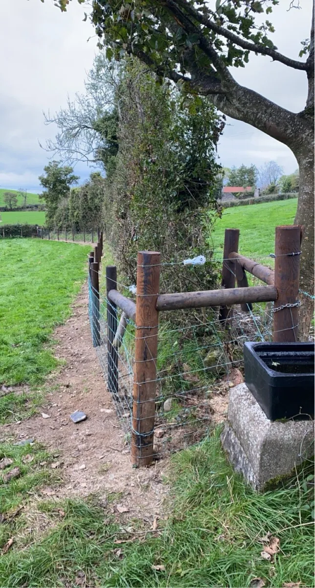 Fencing / Tree cutting - Image 1