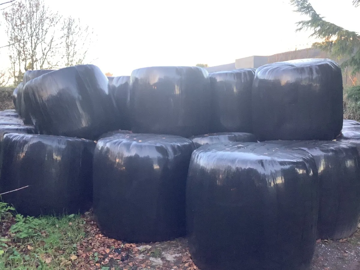 Haylage silage and hay - Image 2