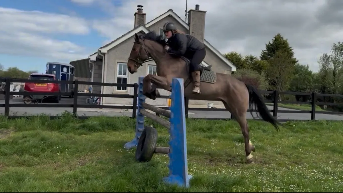148, Jumper/Allrounder type - Image 3