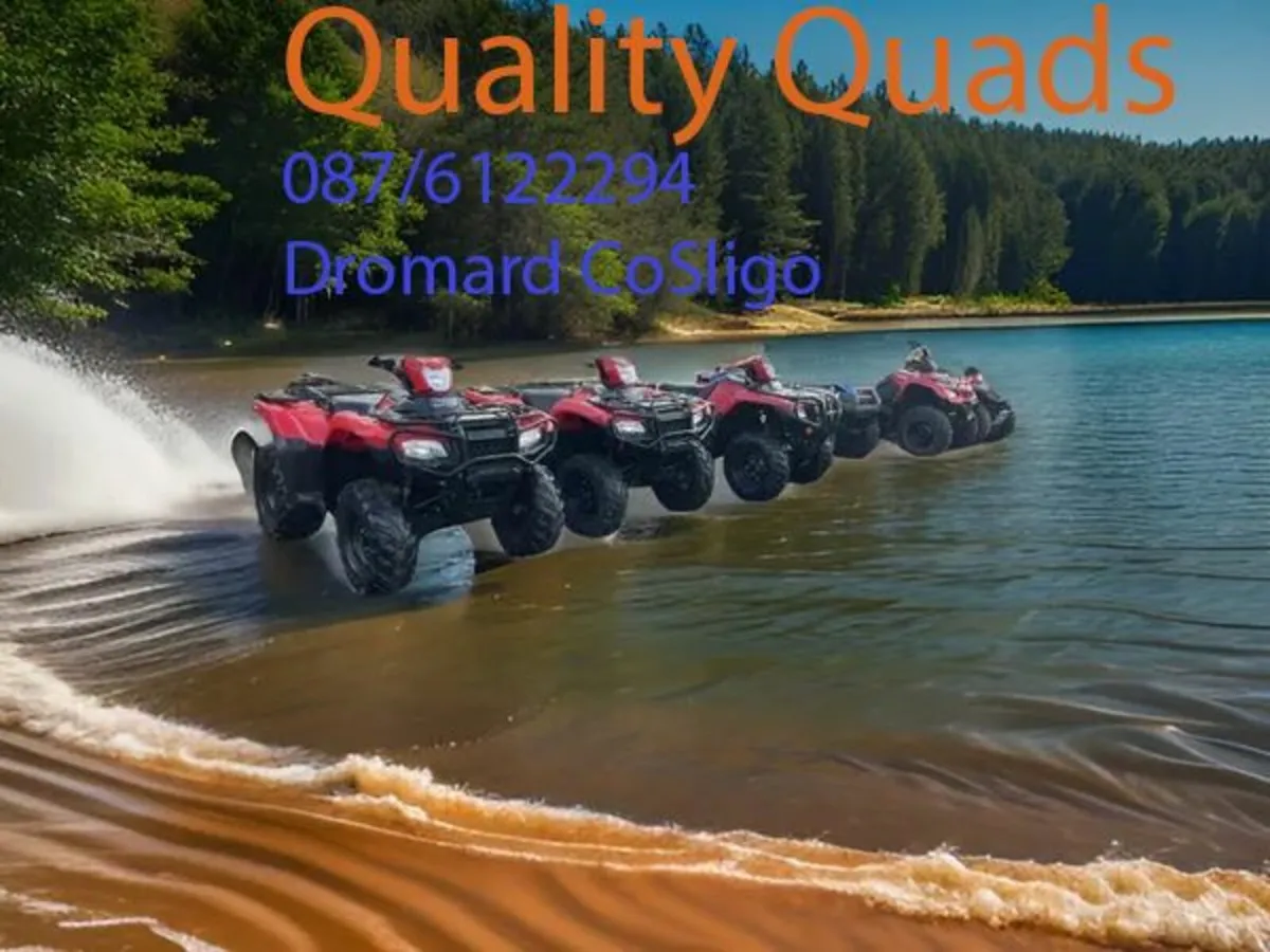 QUAD REPAIR SALES SERVICE - Image 2