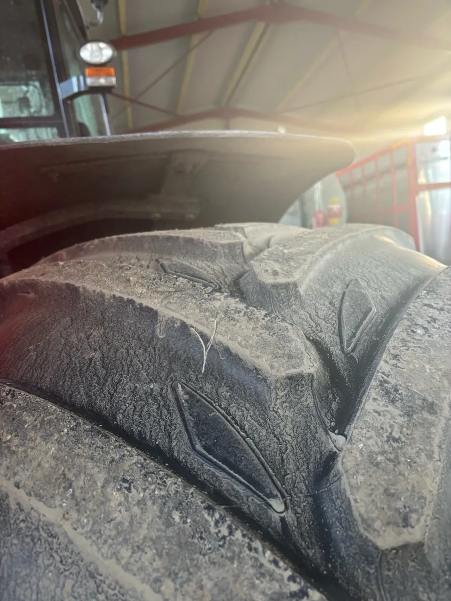 Michellin Xeobibs - Image 2