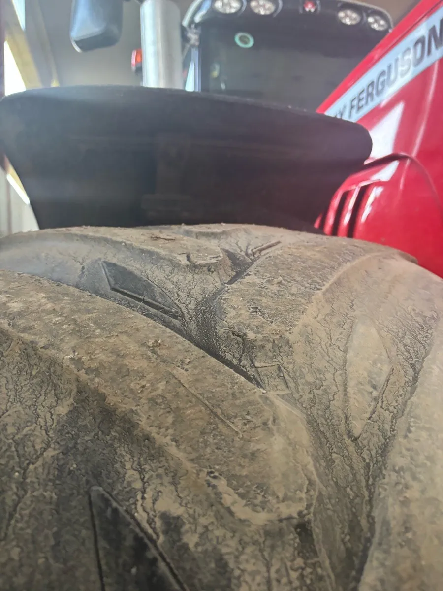 Michellin Xeobibs - Image 3