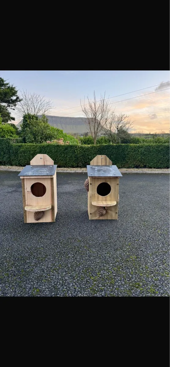 Owl boxes for sale - Image 3