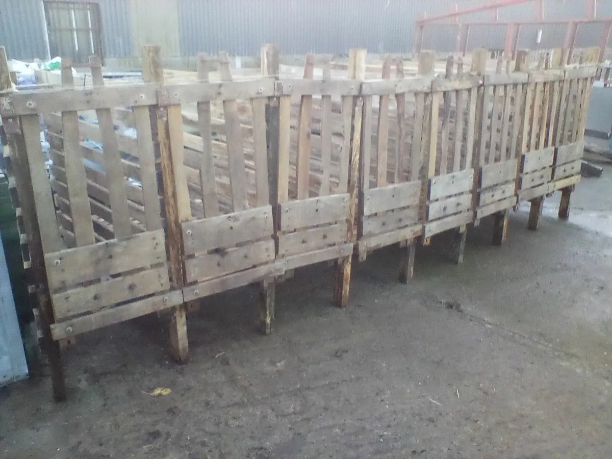 Calf equipement - Image 3