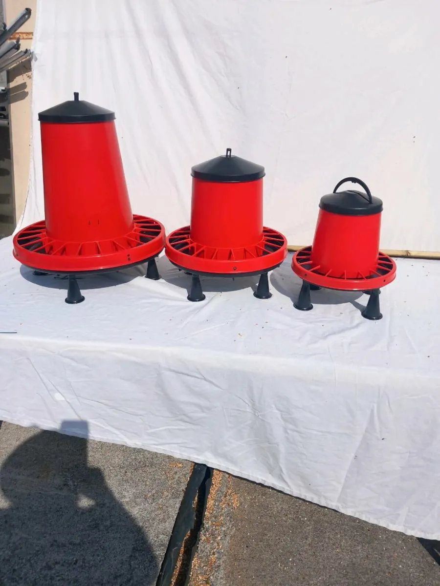 Poultry feeders - Image 1