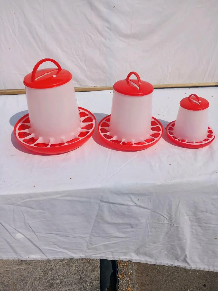 Poultry feeders - Image 2