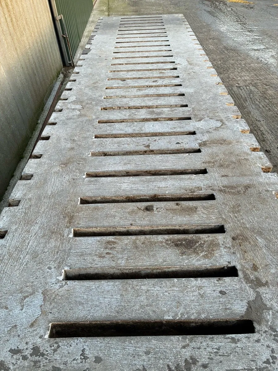Scraper Slatts - Image 3