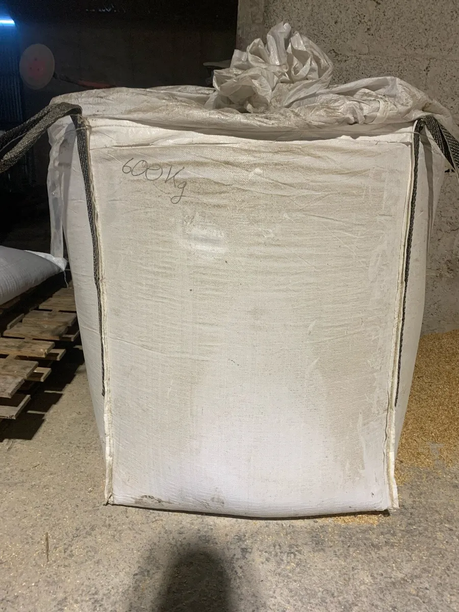 Dried Oats for sale - Image 2