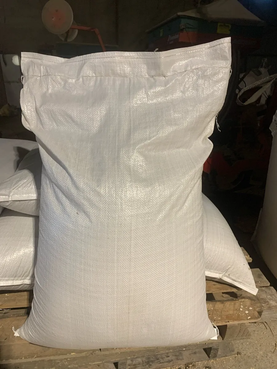 Dried Oats for sale - Image 3