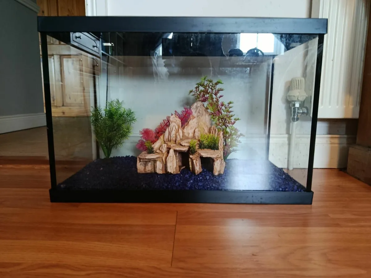 Fish tank - Image 1