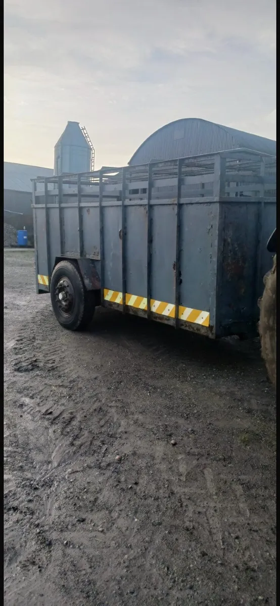 Cattle Trailer 14Ft x 6Ft - Image 3