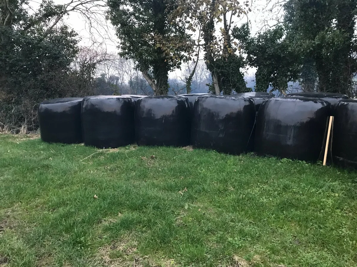Good quality silage bales - Image 2
