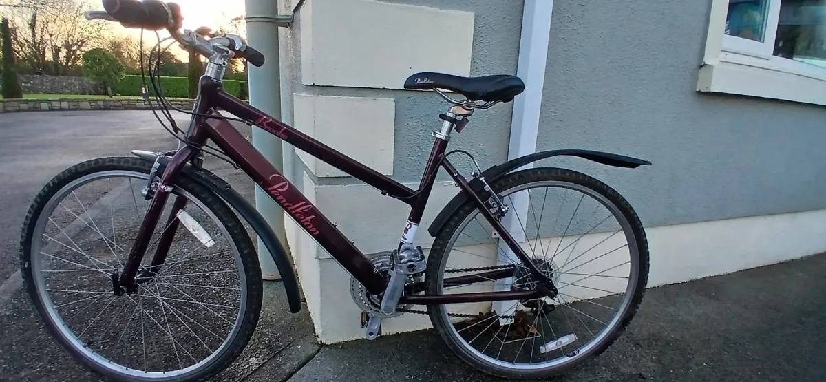 Girls Bicycle - Image 1