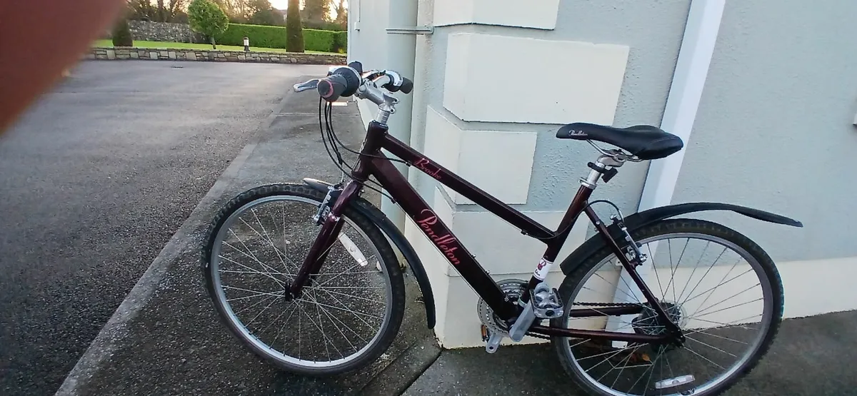 Girls Bicycle - Image 3