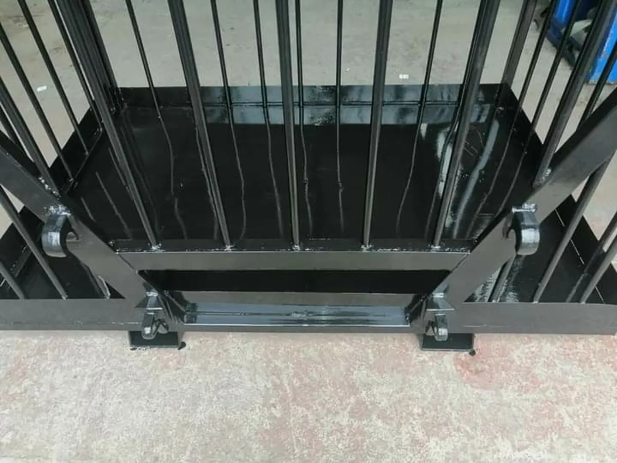 Calf cages - Image 4