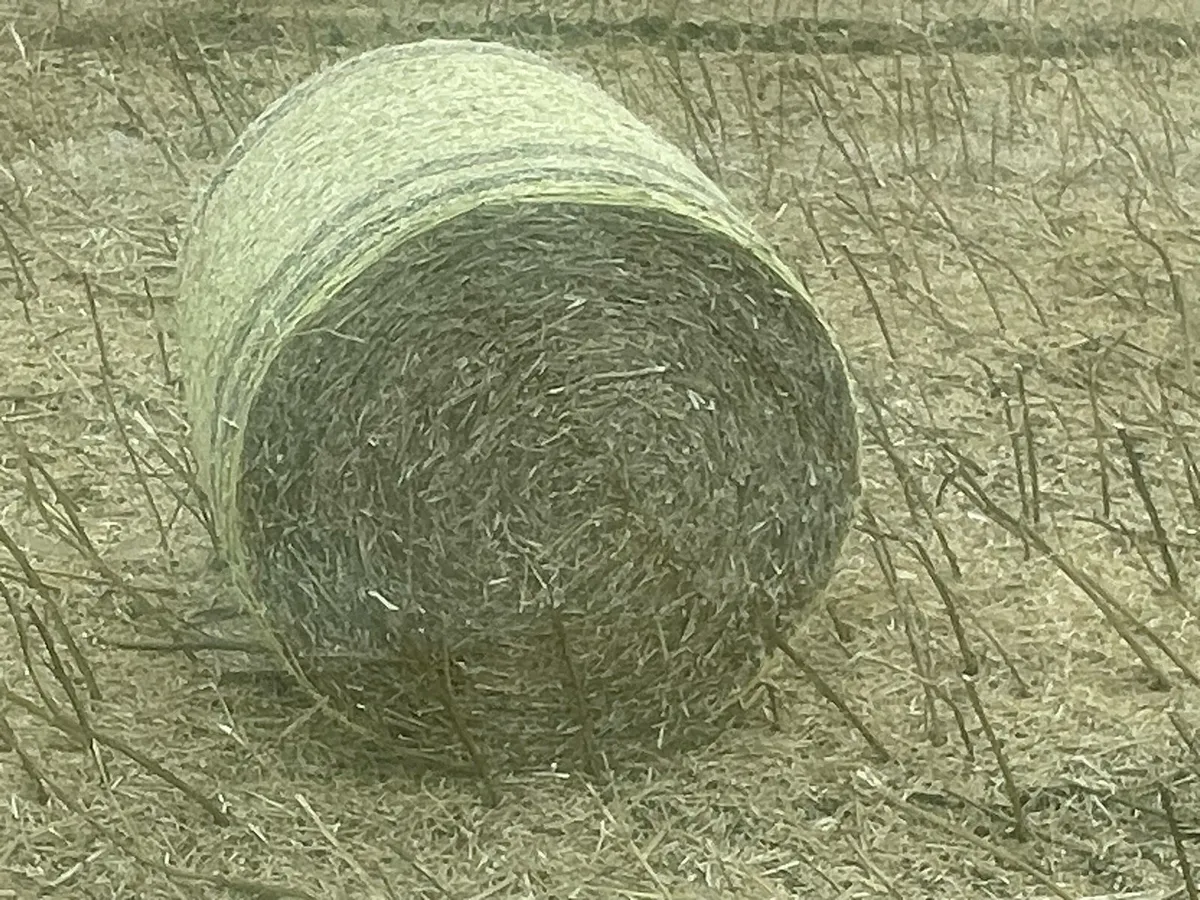 Straw - Image 1
