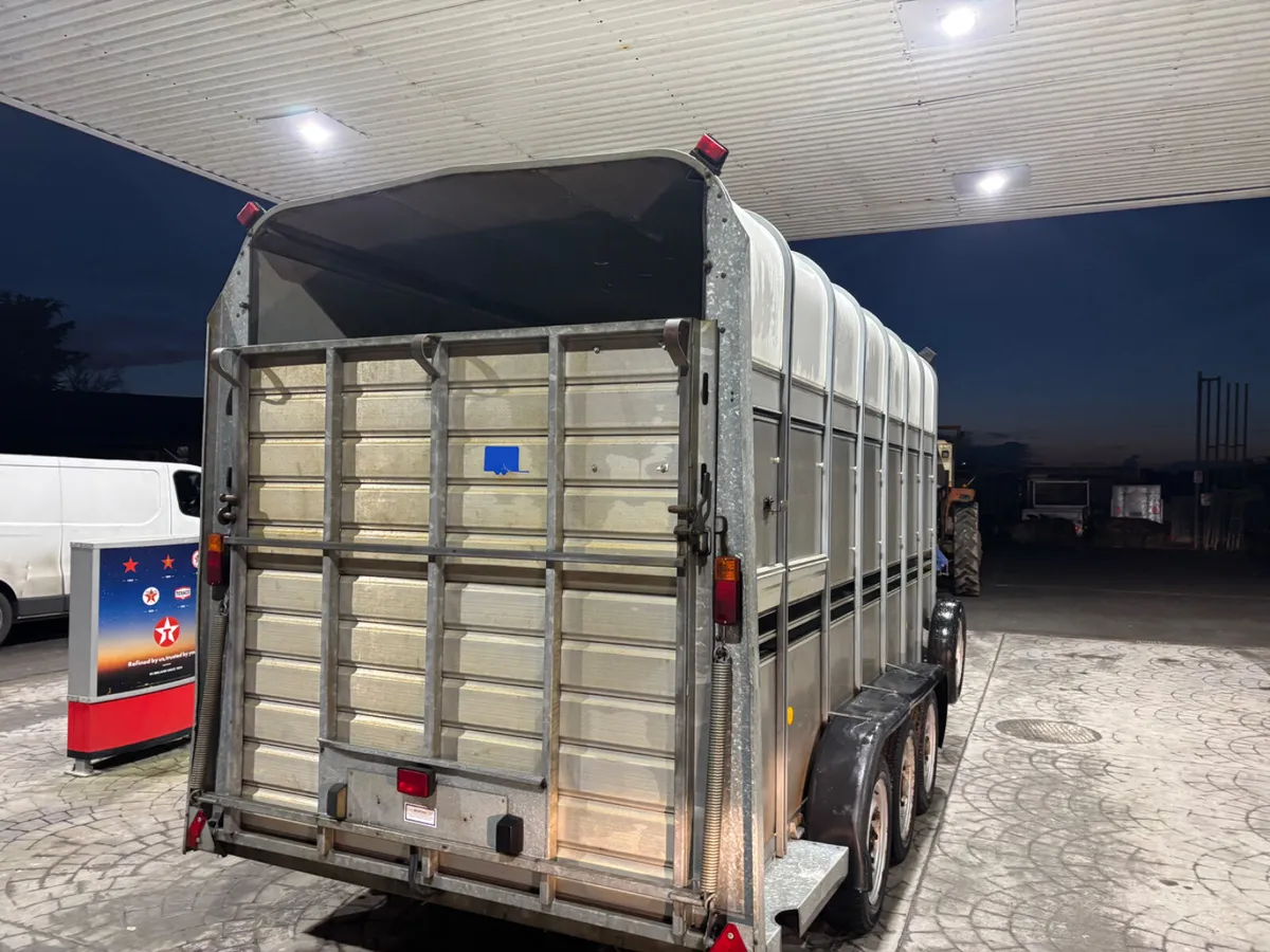 ifor williams ta510 14 ft highroof - Image 3