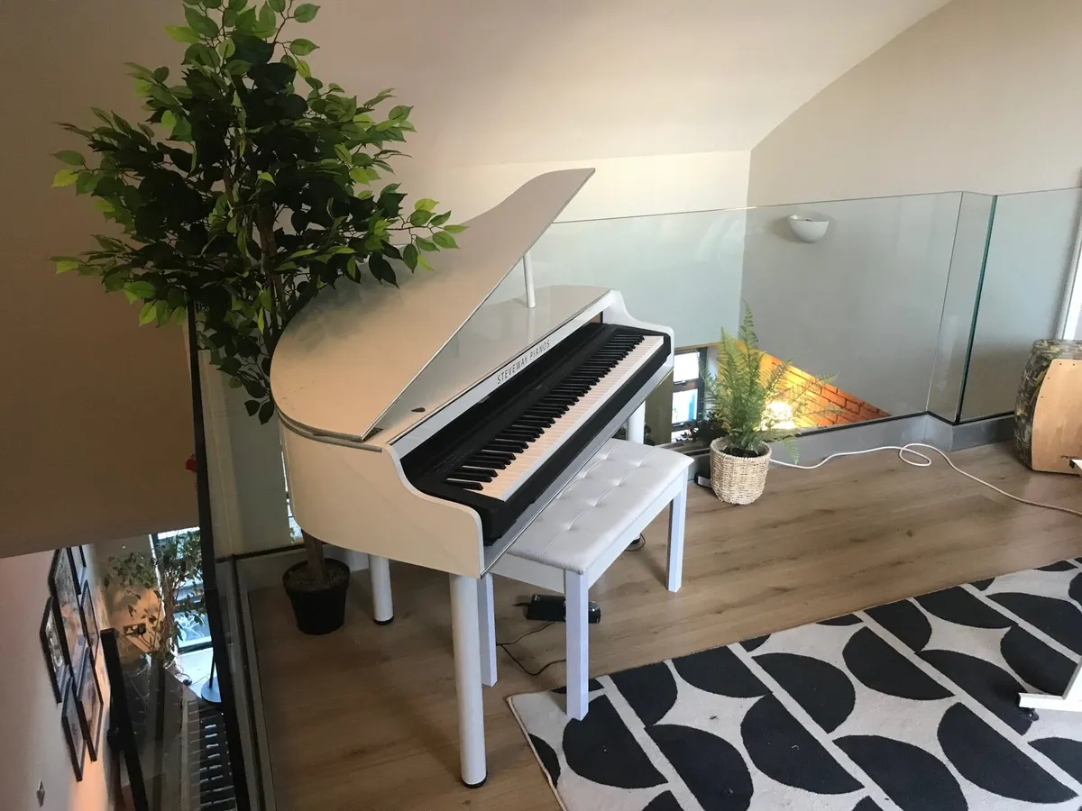 White Baby Grand Piano Shell