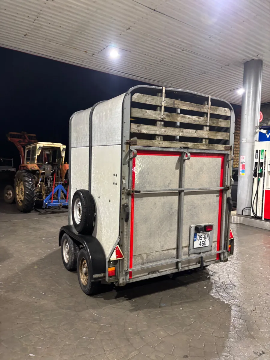 ifor williams hb505 - Image 4