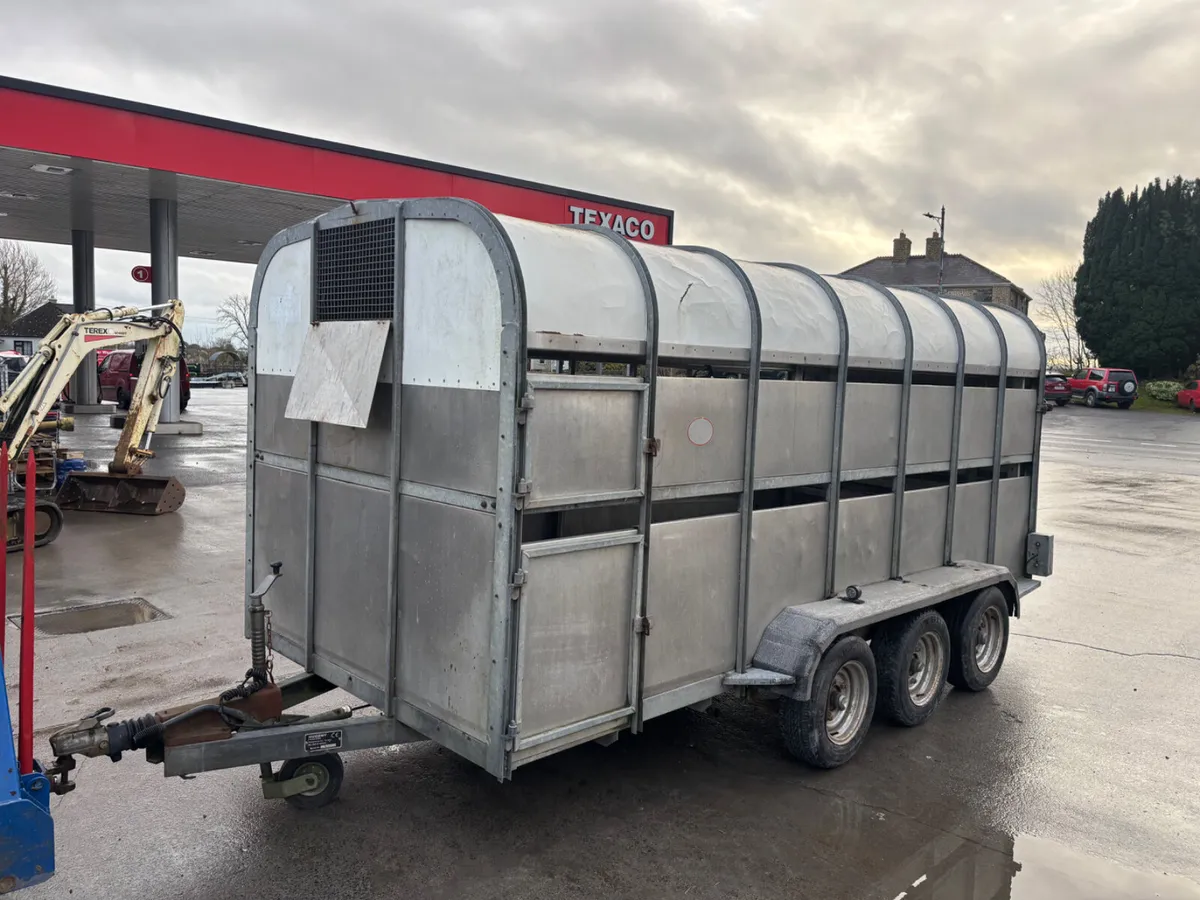 nugent 14ft livestock trailer - Image 2
