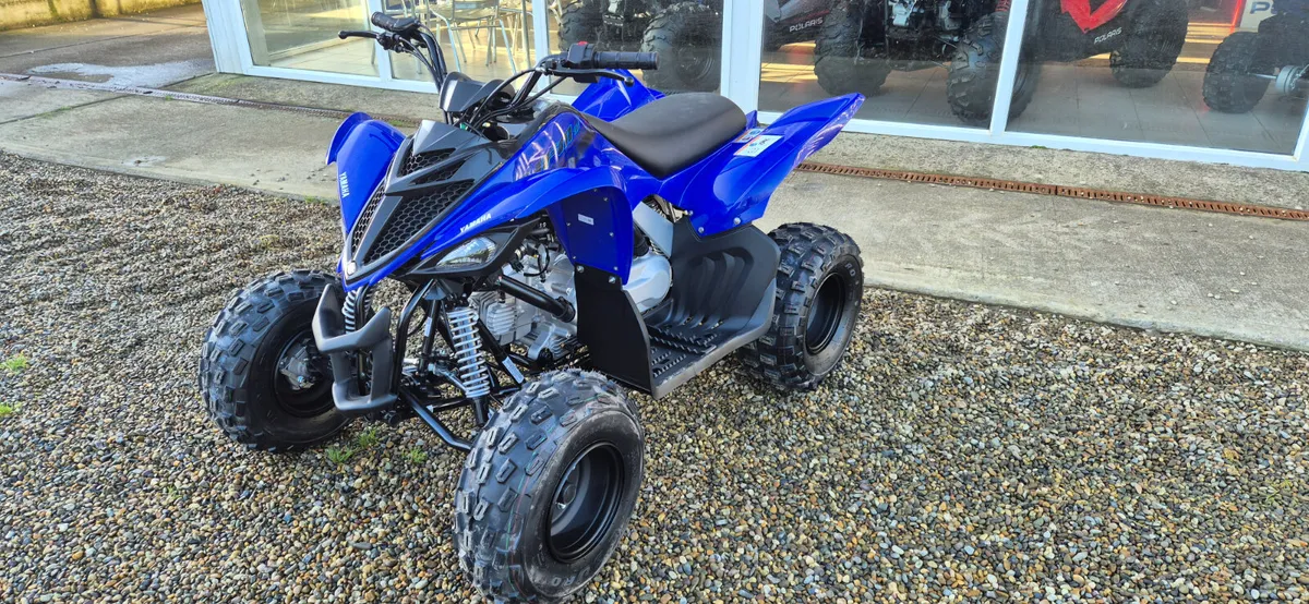 NEW 2025 YAMAHA RAPTOR YFM110R - Image 1