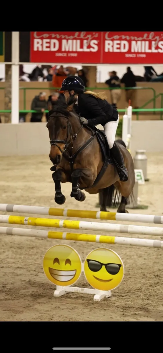 148 Pony - Schoolmaster - Image 4