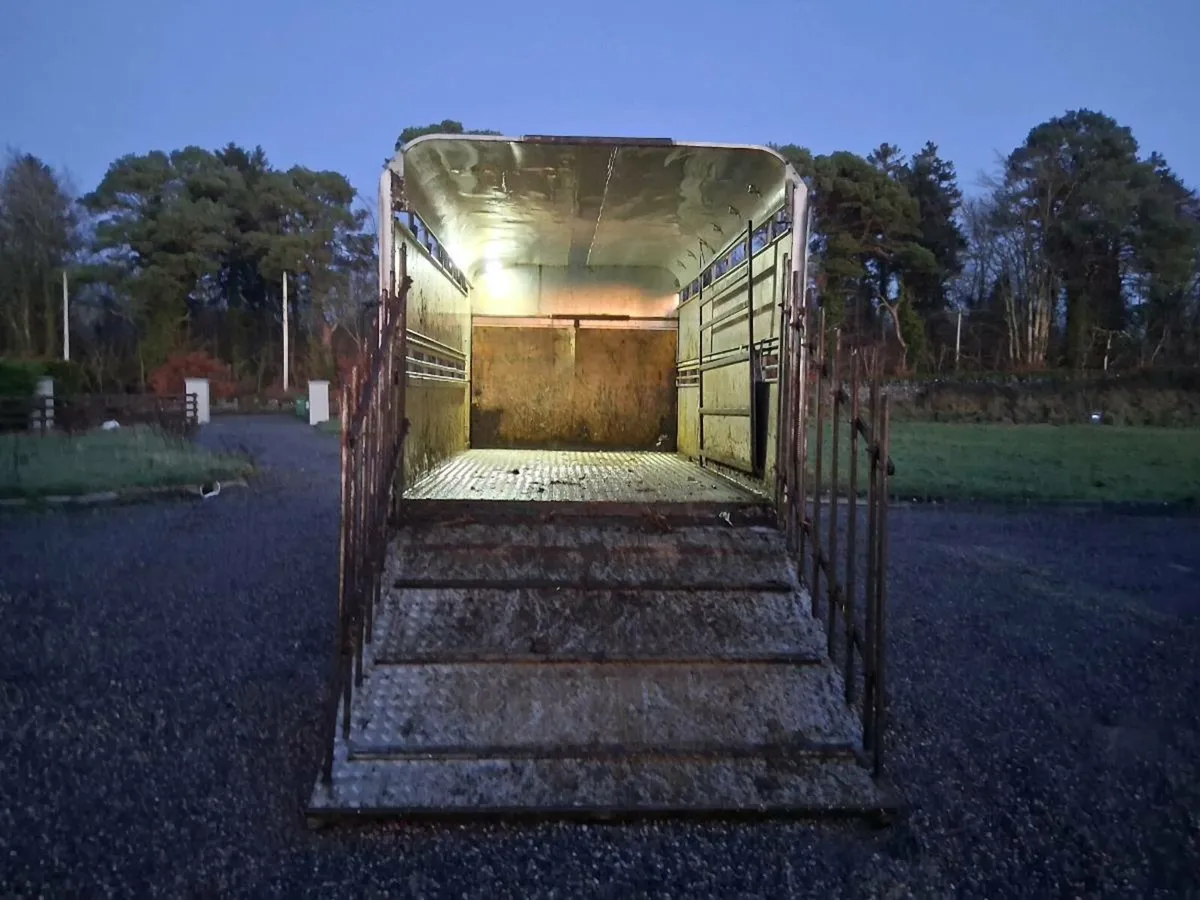 Ford transit Livestock Pickup - Image 4