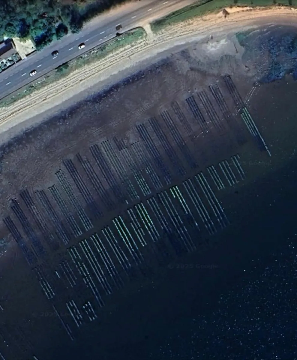 Oyster Farm for Sale – Lough Foyle - Image 1