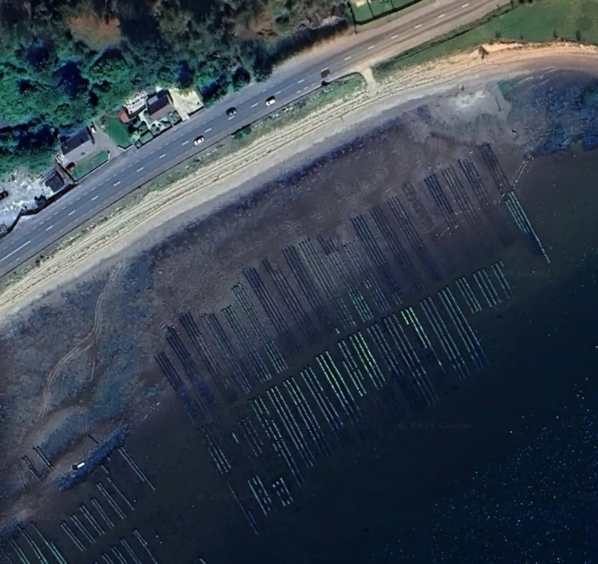 Oyster Farm for Sale – Lough Foyle - Image 4
