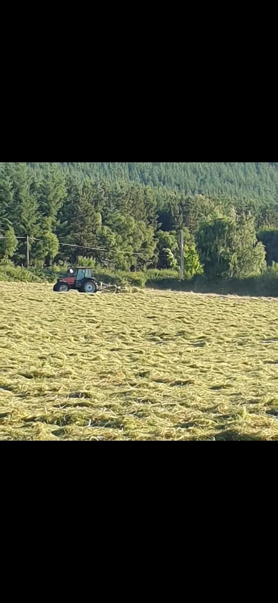 Small Square Bales of Hay - Image 2
