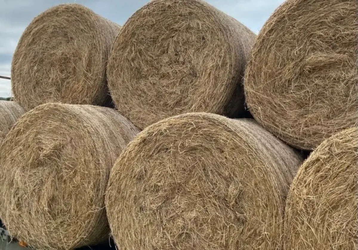 Hay, Silage bales