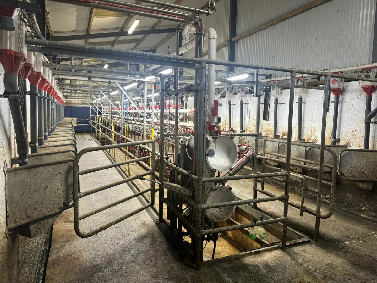 22 Unit Pearson Milking Parlour - Image 2