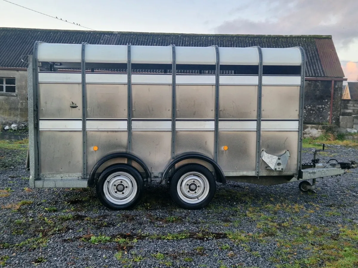 12X5 Ifor Williams cattle trailer - Image 4