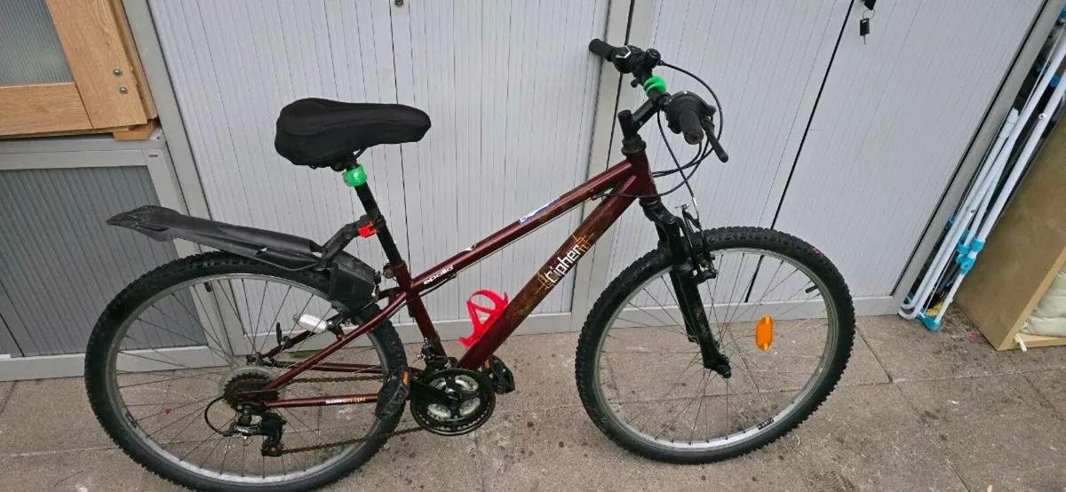 Bike - Image 1