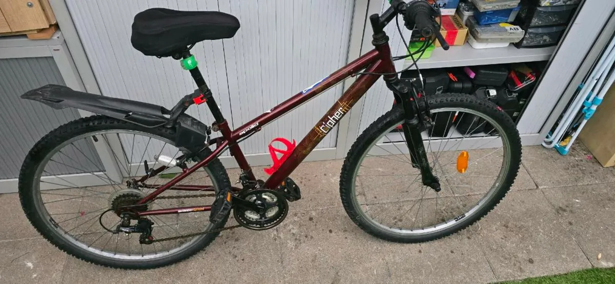 Bike - Image 4