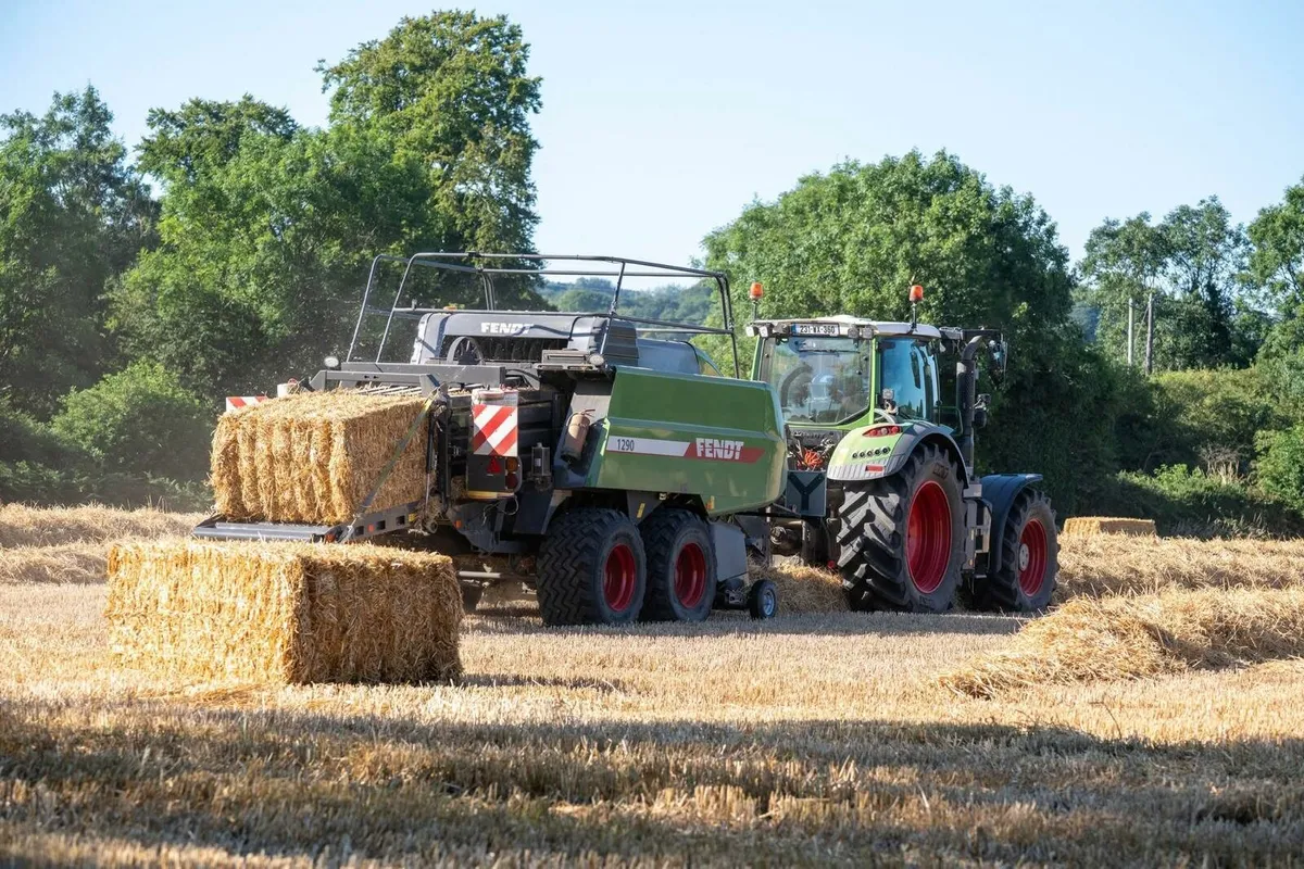 Barley Straw - Image 1