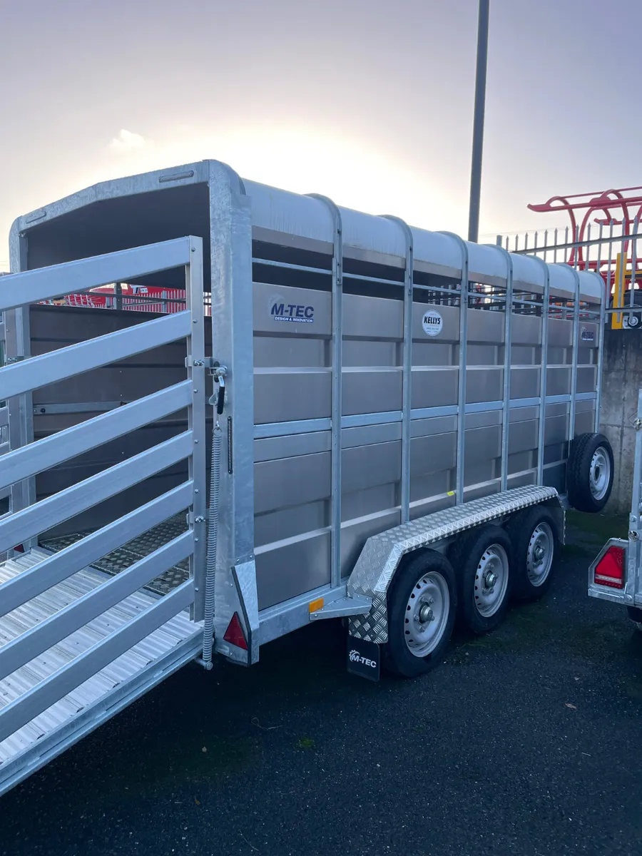 14ft MTEC Livestock Trailer - Image 2