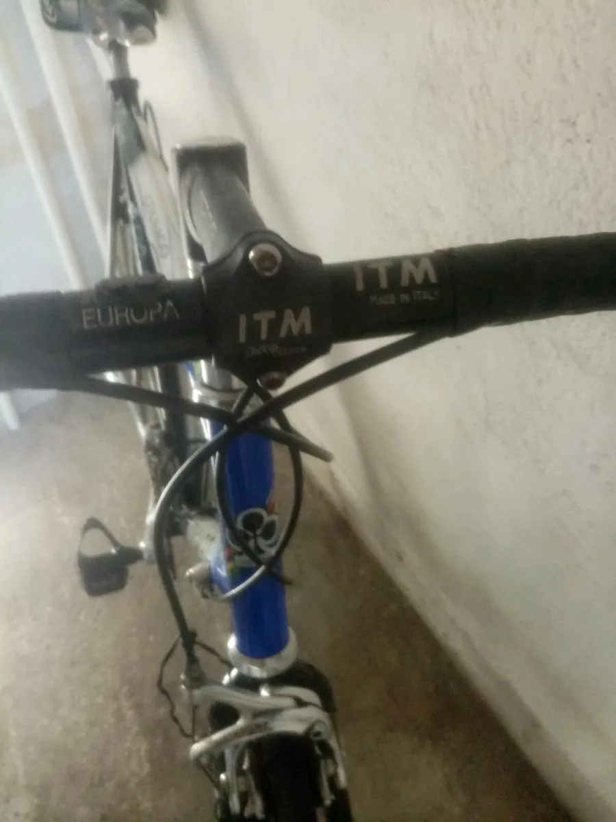 Colnago Titanio Art Decor (vintage) - Image 3