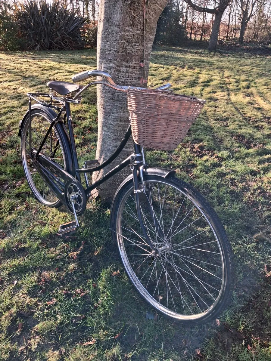 Bike High Nelly - Image 2