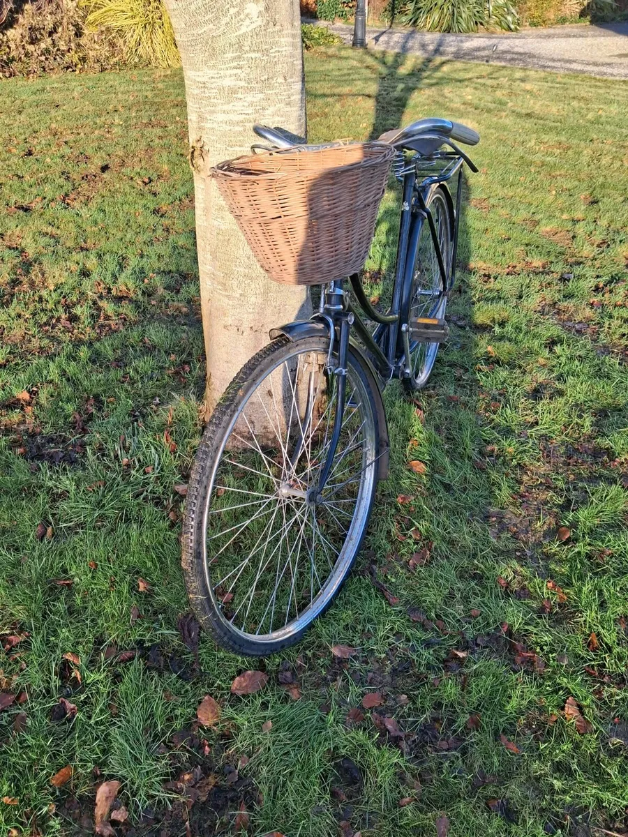 Bike High Nelly - Image 4