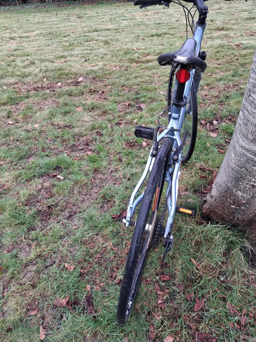 Bike Ladies - Image 1